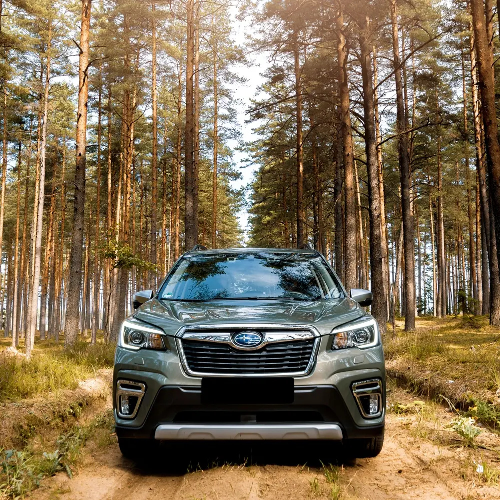 9 Ways to Lower and Manage Cortisol Levels