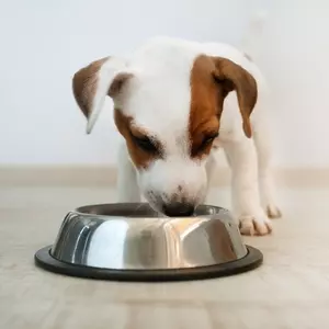 9 Ways to Lower and Manage Cortisol Levels