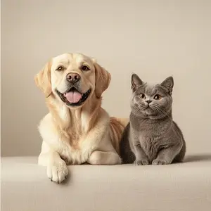 9 Ways to Lower and Manage Cortisol Levels