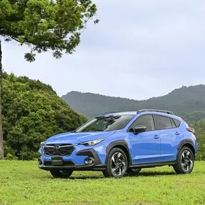 9 Ways to Lower and Manage Cortisol Levels